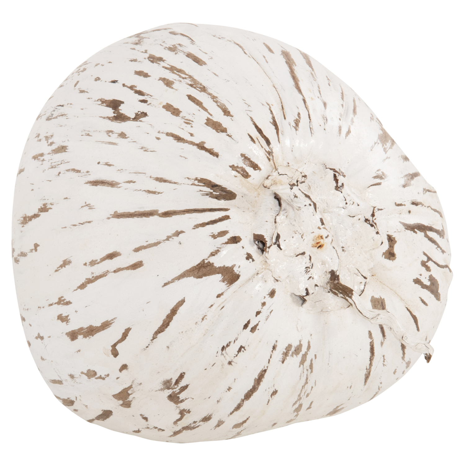 ΕΠΙΤΡΑΠΕΖΙΟ ΔΙΑΚΟΣΜΗΤΙΚΟ HM4326.05 ΚΑΡΥΔΑ ΣΕ ΛΕΥΚΟ ΧΡΩΜΑ 20x20x20Υεκ - Image 4